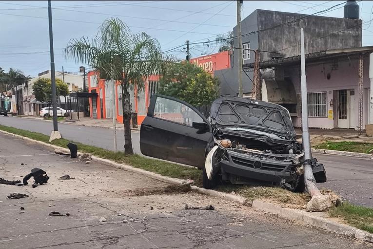 Cardenales de copete rojo: qué pasó tras el rescate en Ceibas