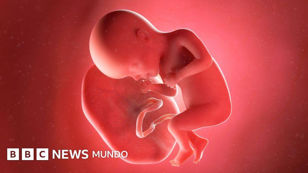 Pakistán: investigan una red de tráfico de placentas humanas