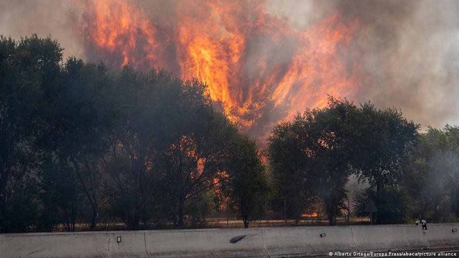 Incendios en España: Pedro Sánchez advirtió un cuadro "dramático"