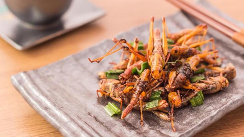 como cocinar esparragos