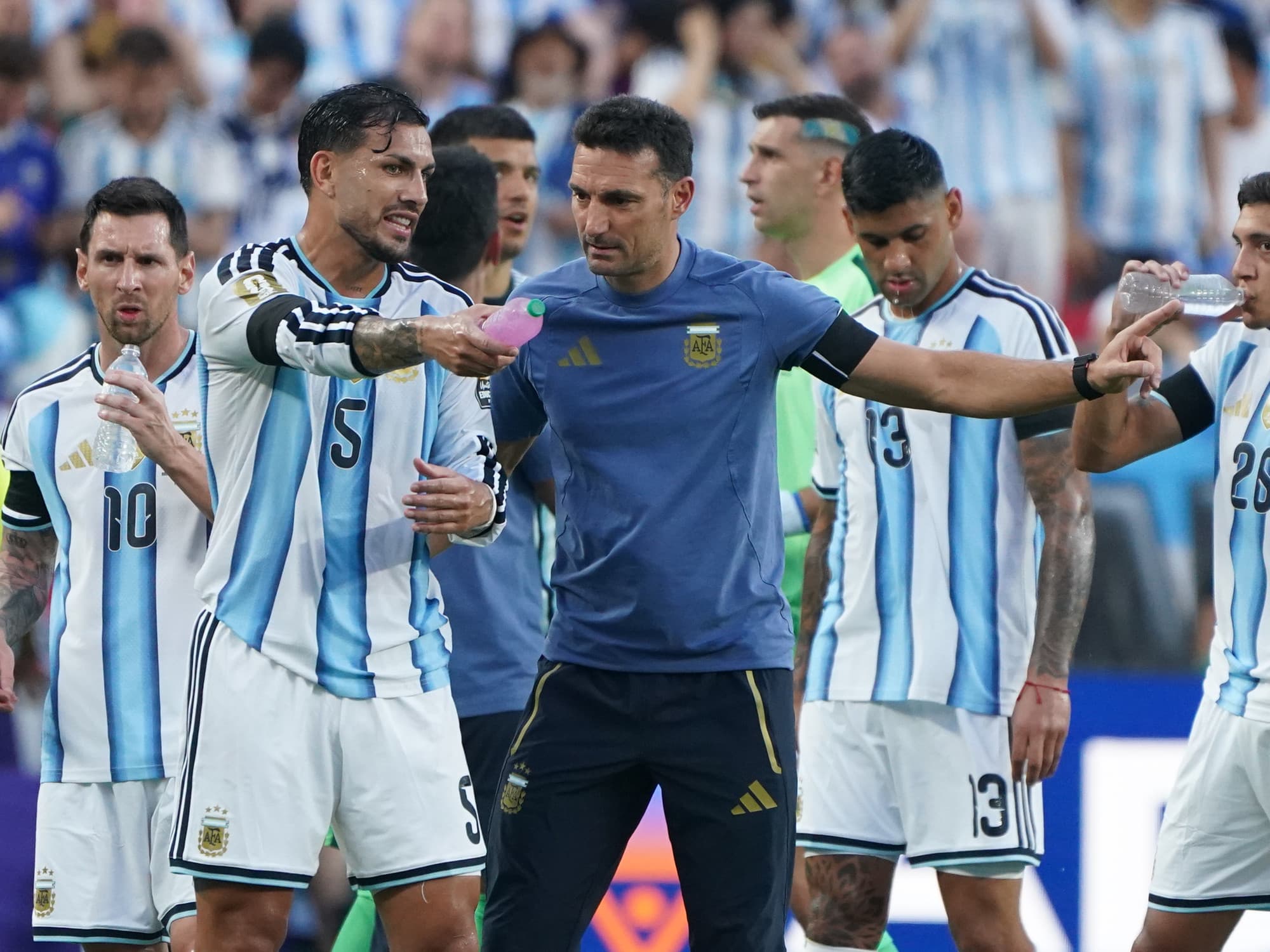 Lionel Scaloni aclaró los dichos sobre Leandro Paredes tras la polémica por una mala traducción