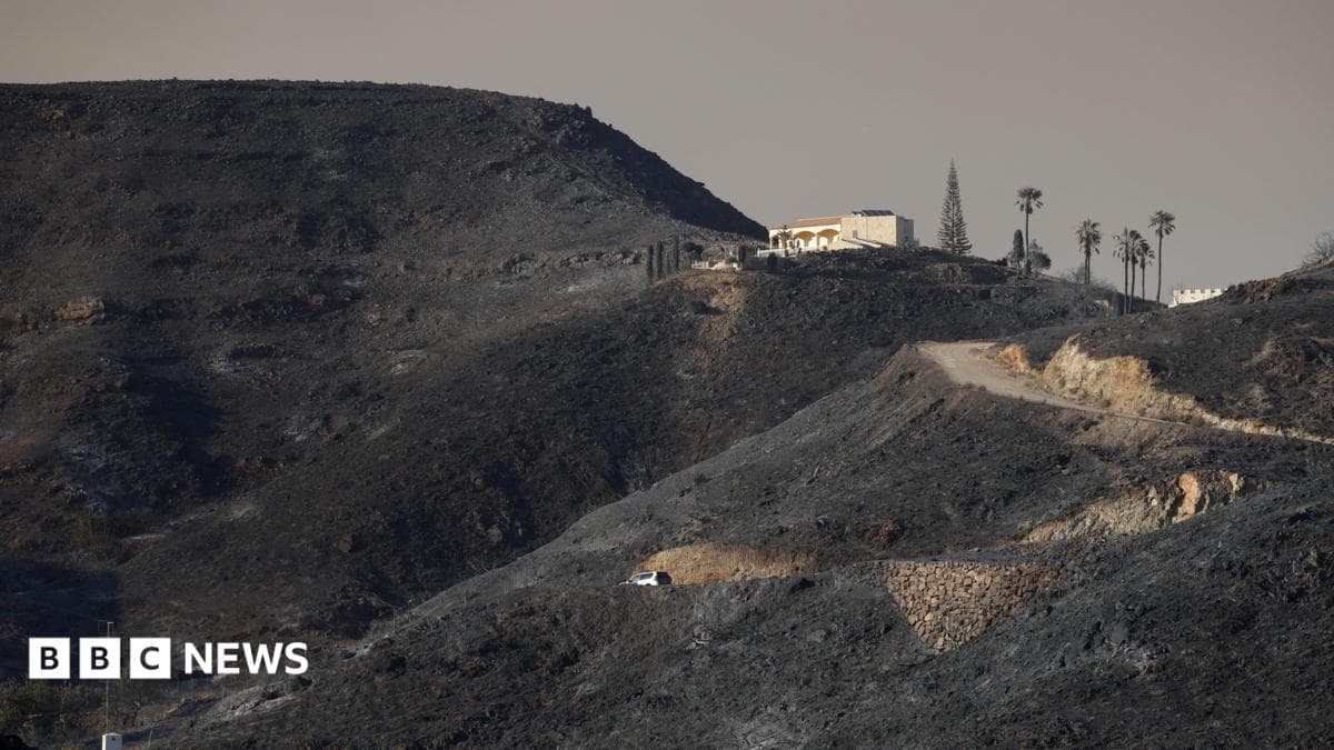 Tragedia en España: confirman que la mayoría de los fallecidos en los incendios forestales son extranjeros