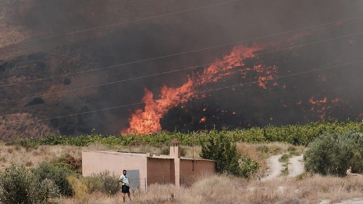 Tragedia en España: la mayoría de los doce fallecidos en los incendios son extranjeros