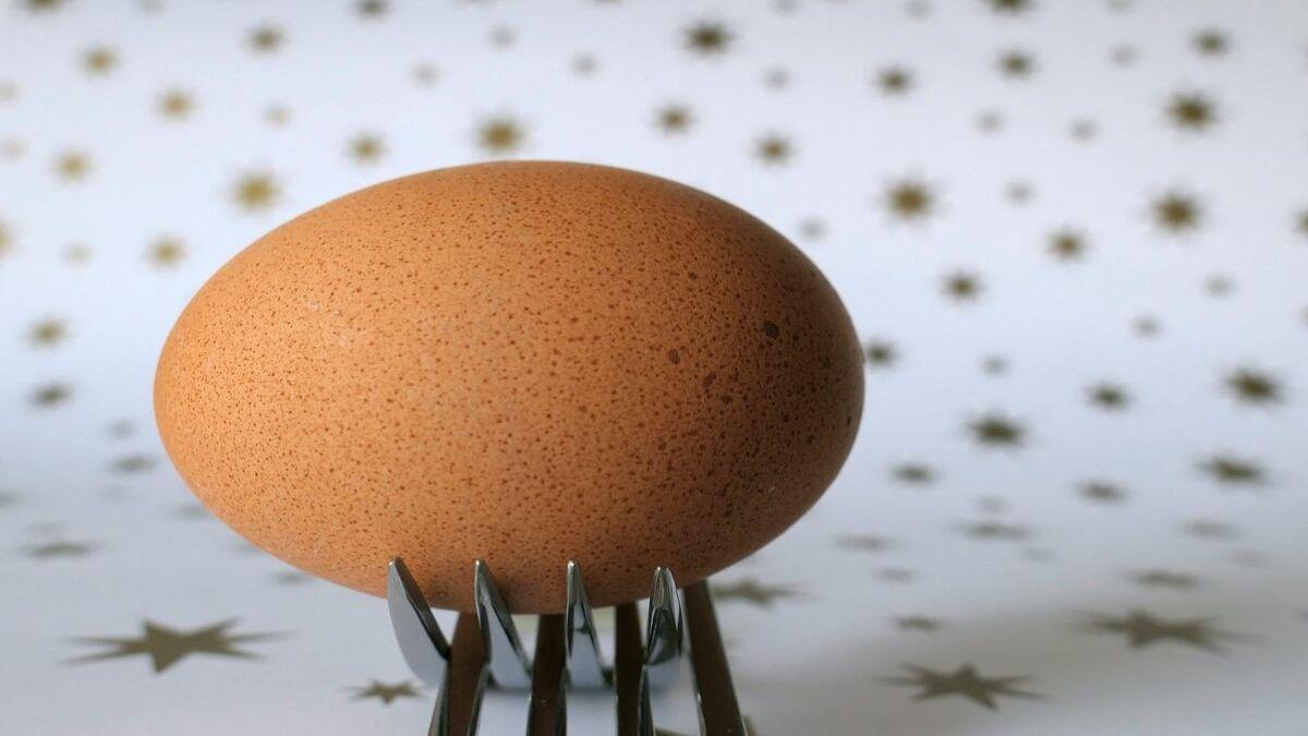 Huevos en mal estado: el truco del celular y 4 señales clave