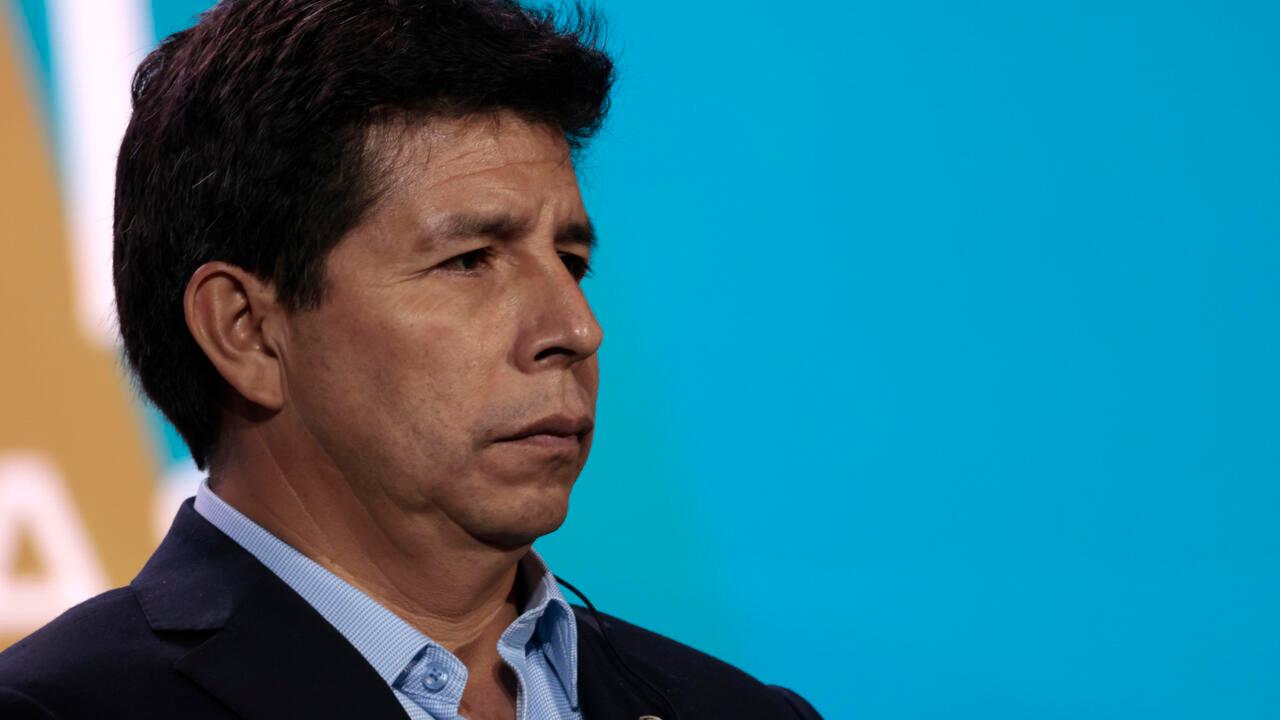 La ONU califica de "arbitraria" la detención de Pedro Castillo y exige su inmediata liberación