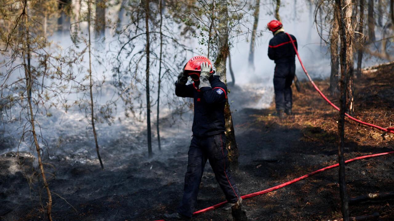 Alarma en Francia: combaten reactivaciones en el incendio de Fontainebleau y detienen a un sospechoso