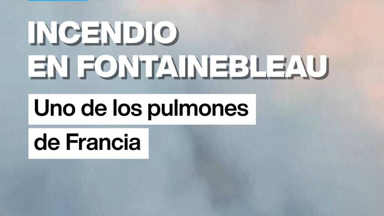 Alerta en Francia: un feroz incendio forestal afecta al emblemático bosque de Fontainebleau