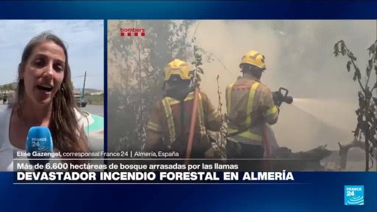 Tragedia en España: al menos 12 muertos y más de 1.300 evacuados por un feroz incendio en Almería