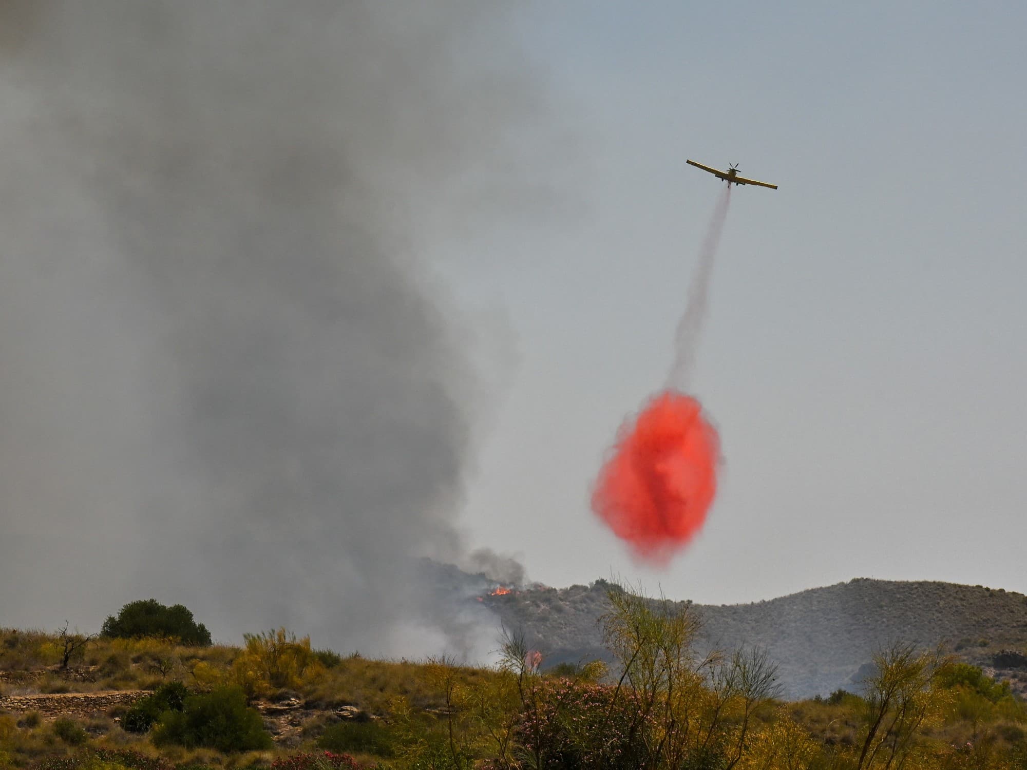 Almería bajo fuego: desesperada búsqueda de 23 desaparecidos en un incendio fuera de control