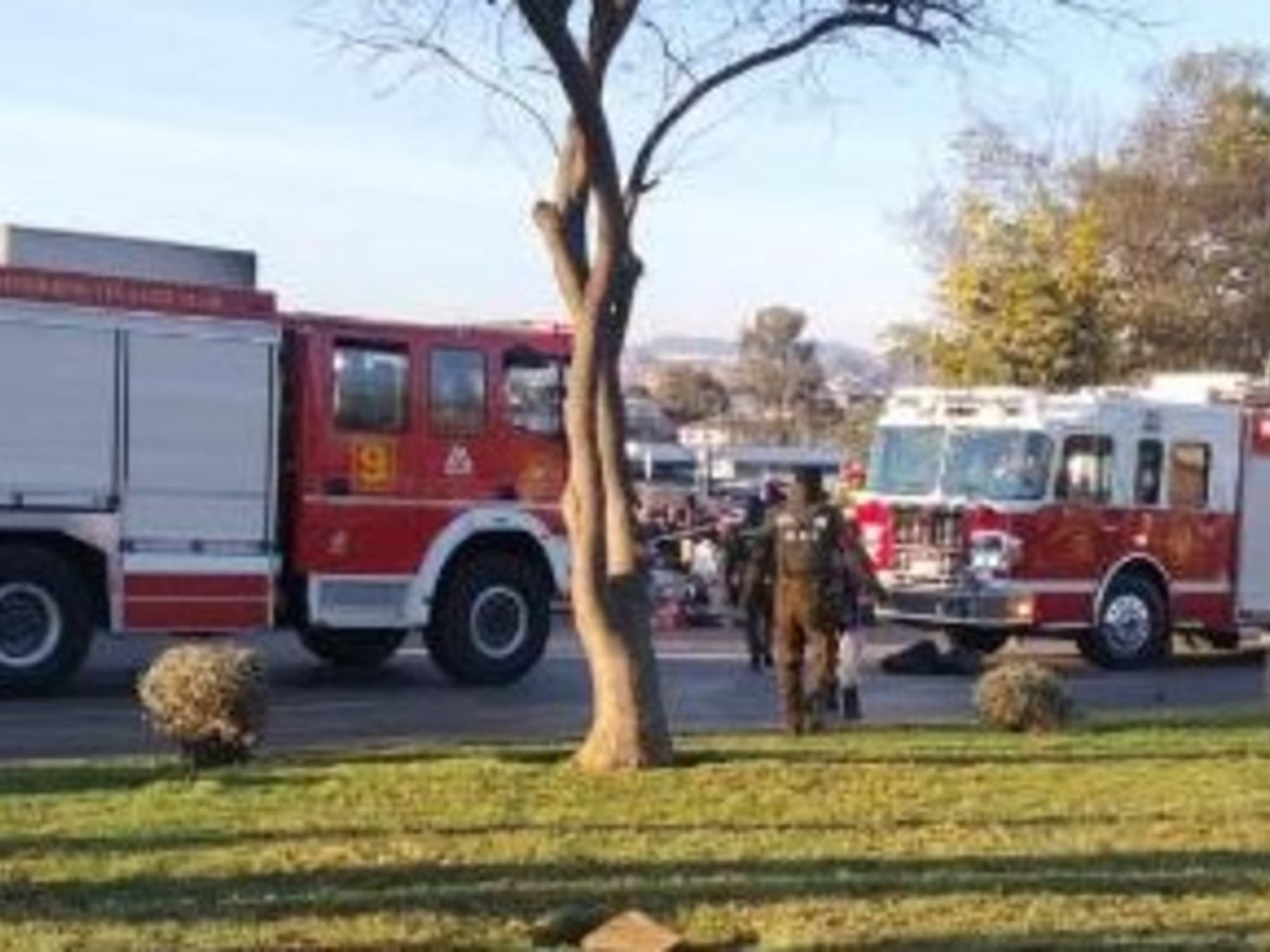 Tragedia en Viña del Mar: un marino chileno atropelló a una multitud en una feria y provocó seis muertes